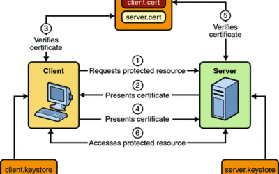 Why SSL is Important for Your Website