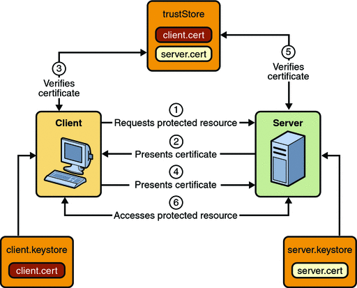 SSL-factors-need-to-consider-for-web