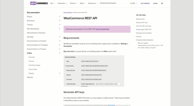 API-integration-with-your-WordPress-website 