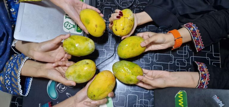 mango-day-theta-solutions